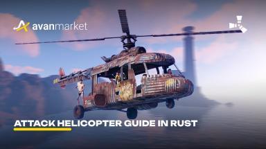 Picture for rust