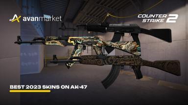 Picture for cs2