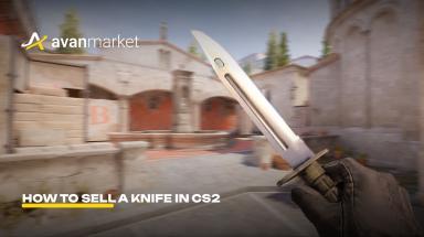 Picture for cs2
