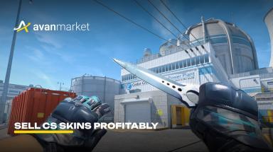 Picture for cs2