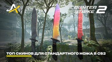 Picture for cs2