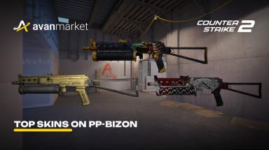 Picture for cs2